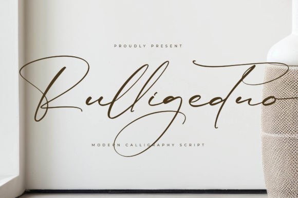Rulligedro: Where Modern Elegance Meets Versatile Design