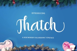 Thatch: A Modern Script Font for Distinctive Branding